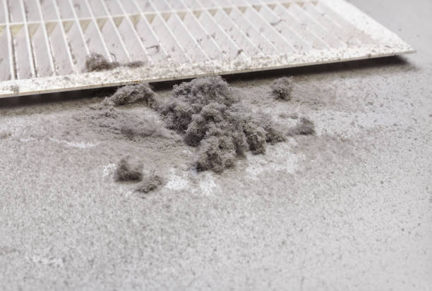 Best Air Duct Cleaning Near Me  in Dianapolis, IN